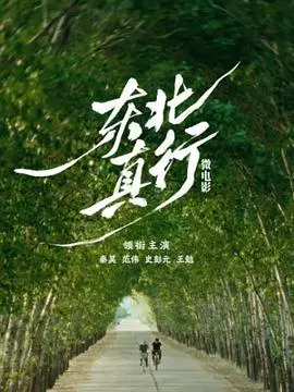 【国产剧】东北真行